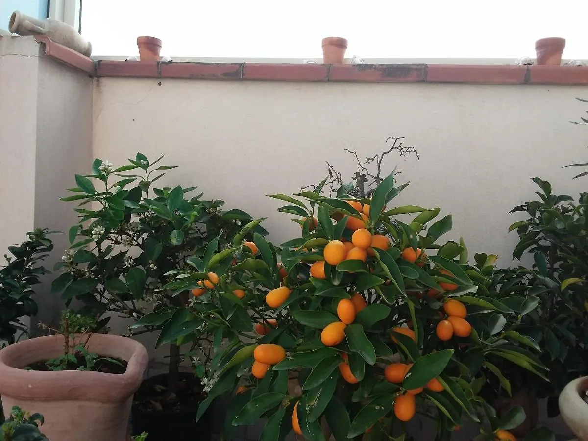 Casa Maramax Apartment Acireale