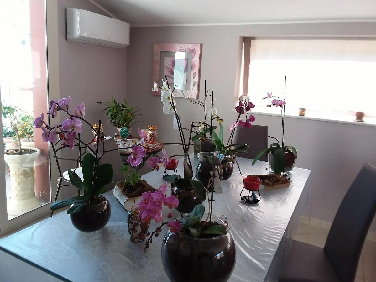 Casa Maramax Apartment Acireale